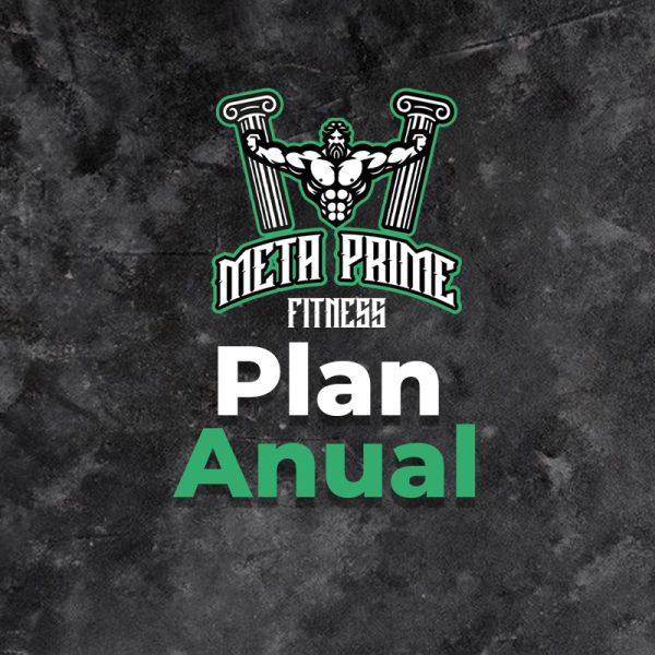 Plan Anual