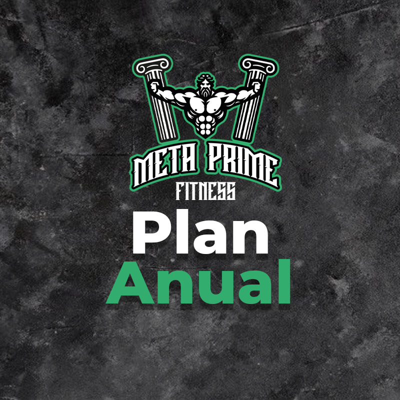 Plan Anual