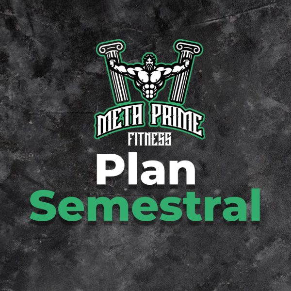 Plan Semestral