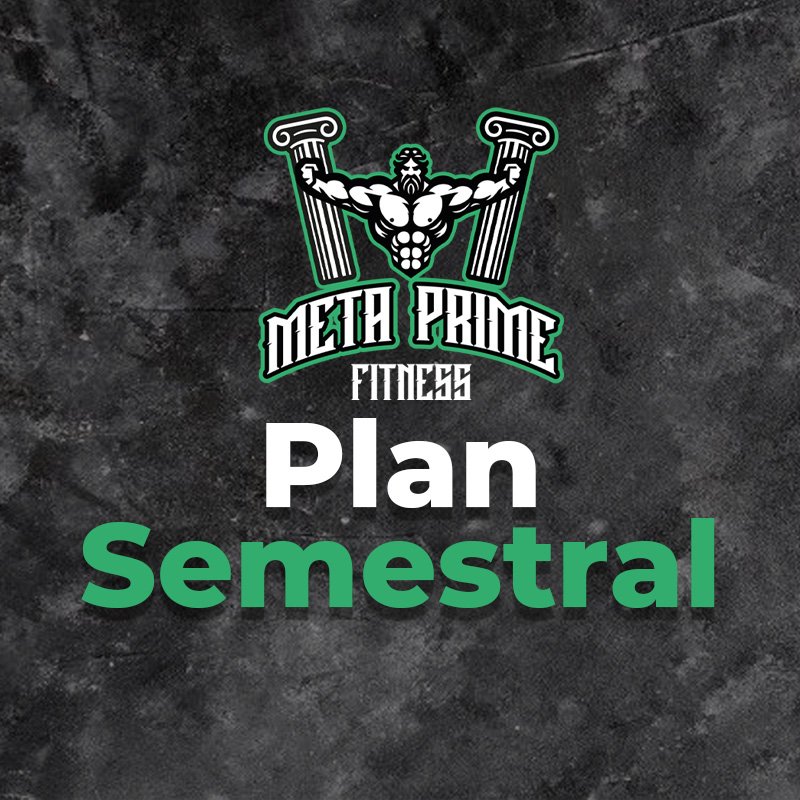 Plan Semestral